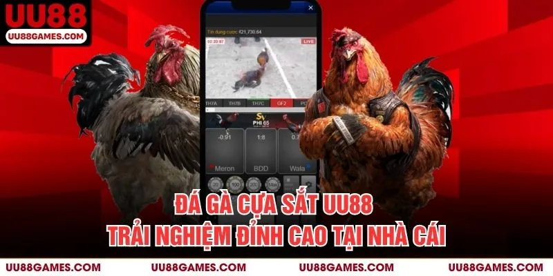 Đá gà cựa sắt UU88