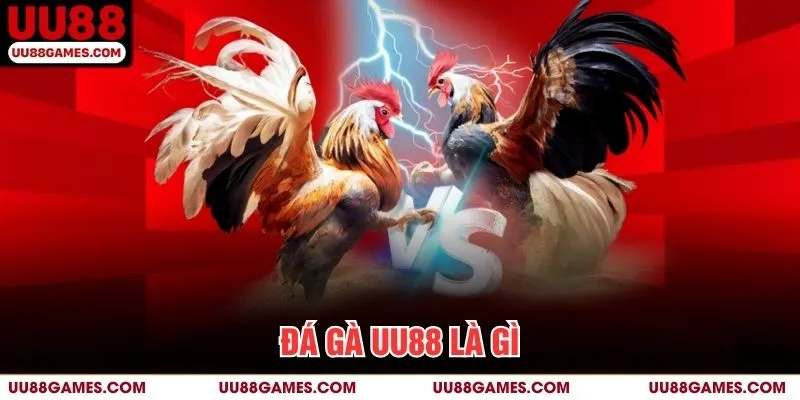 Đá Gà UU88 là gì?