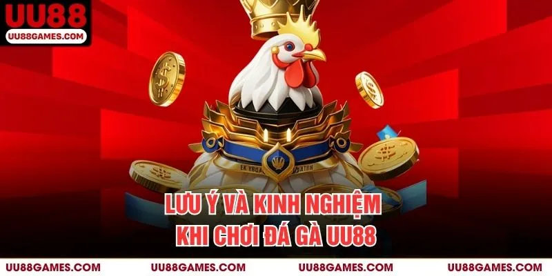 Lưu ý và kinh nghiệm khi chơi Đá Gà UU88